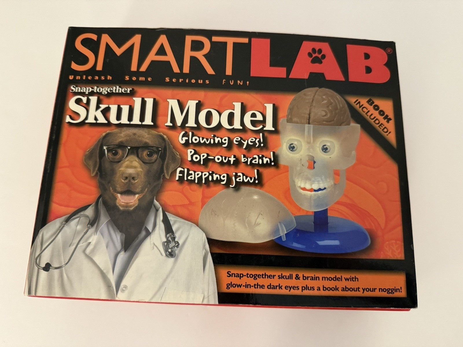 SmartLab Toys SKULL MODEL – Snap together eyes, brain, jaw. Book included.
