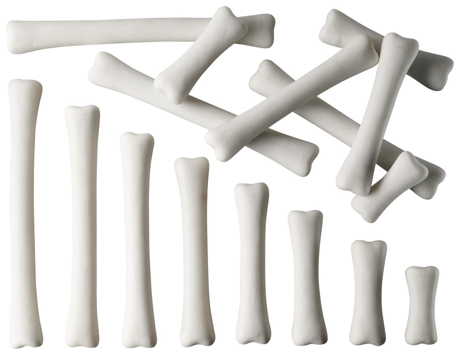 Dinosaur Bone Excavation Kit for Budding Paleontologists Age 3 Educational Fun