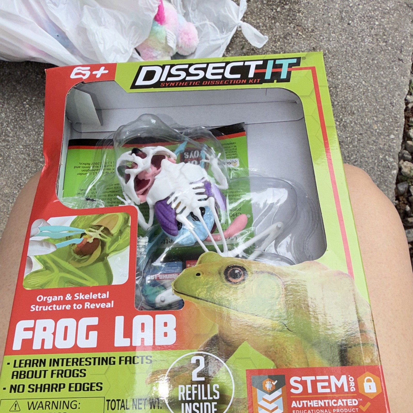 Dissect-It Frog Lab Synthetic Dissection Kit STEM w/ 2 Refills, Ages 5+