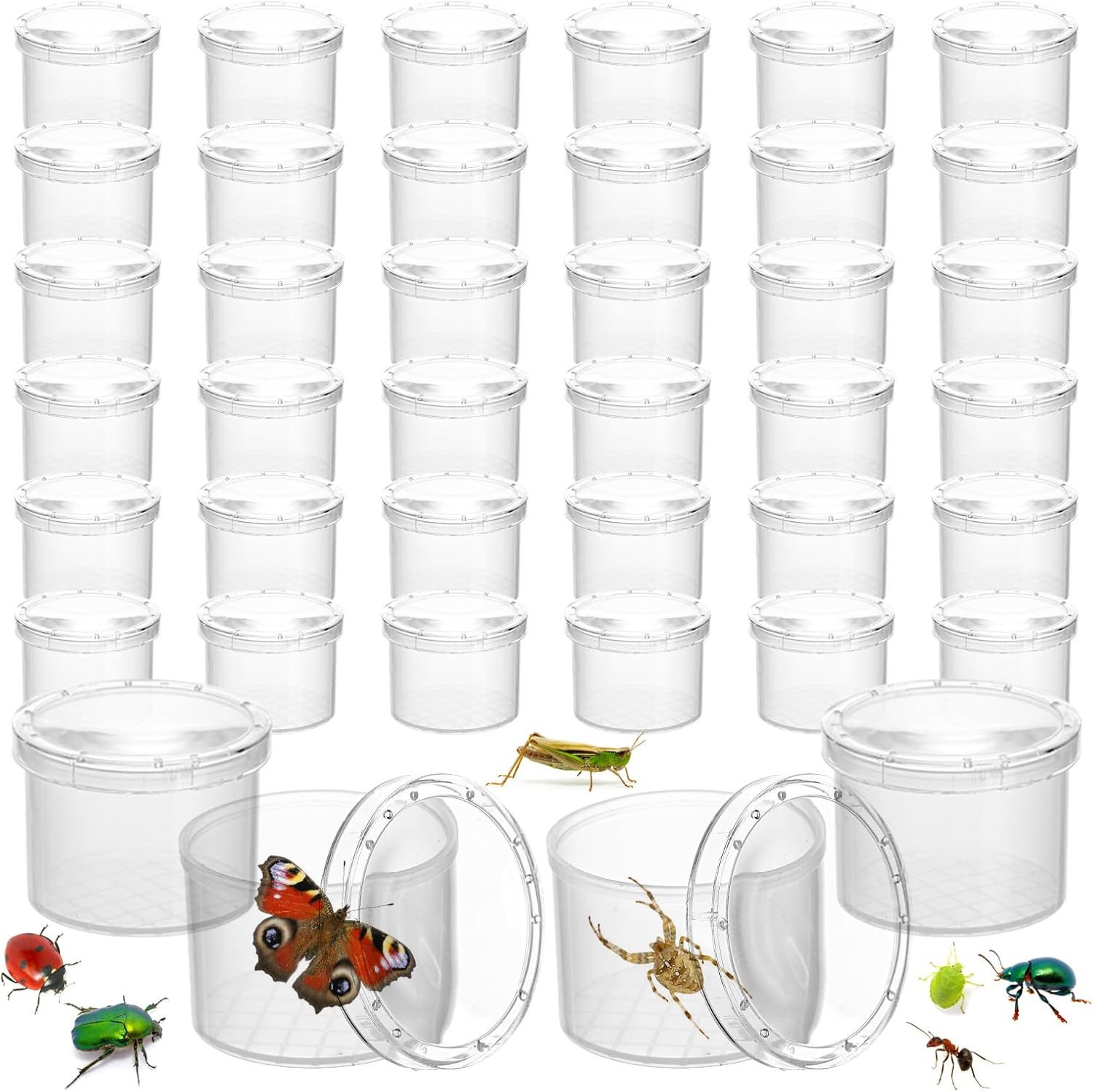 40 Packs Bug Viewer Critter, Insect Cage Magnifying Insect Box, Bug Magnifier Co
