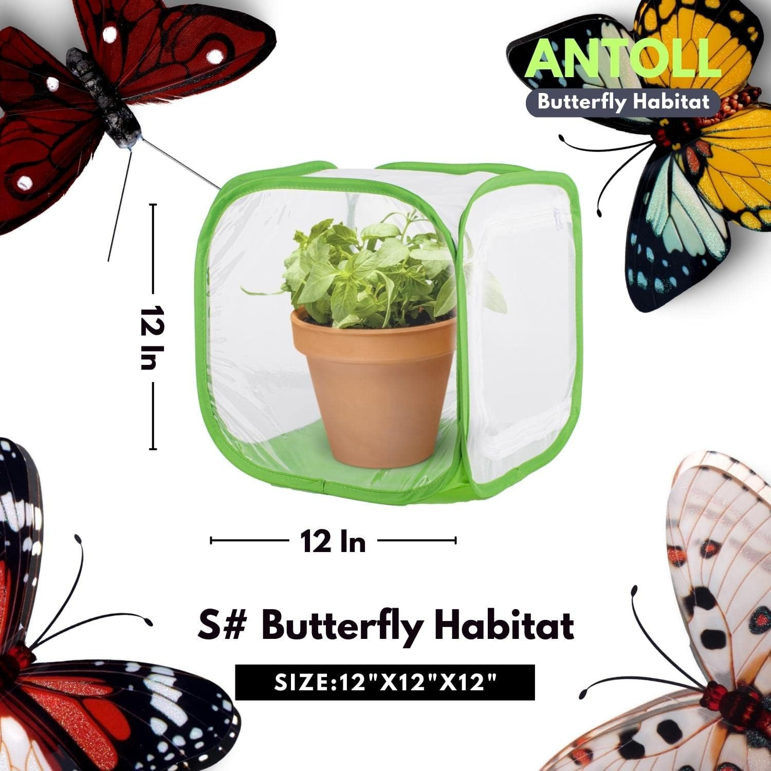 2Pcs 12″ S Size Green Butterfly Habitat Cage, Monarch Butterfly Habitat, Butterf