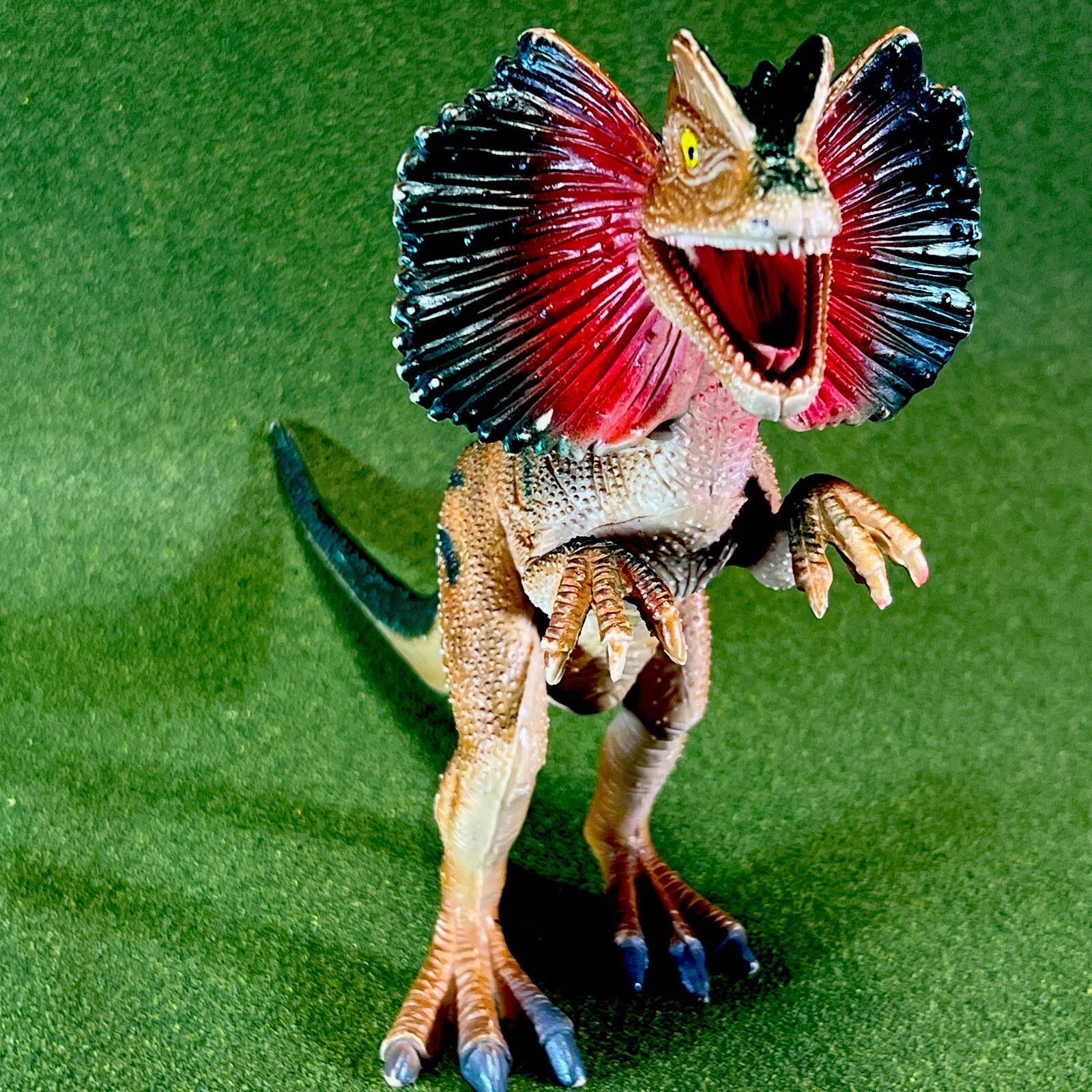 Dinosaur Dilophosaurus with Neck Frill plastic toy Figure 12”long 8”tall