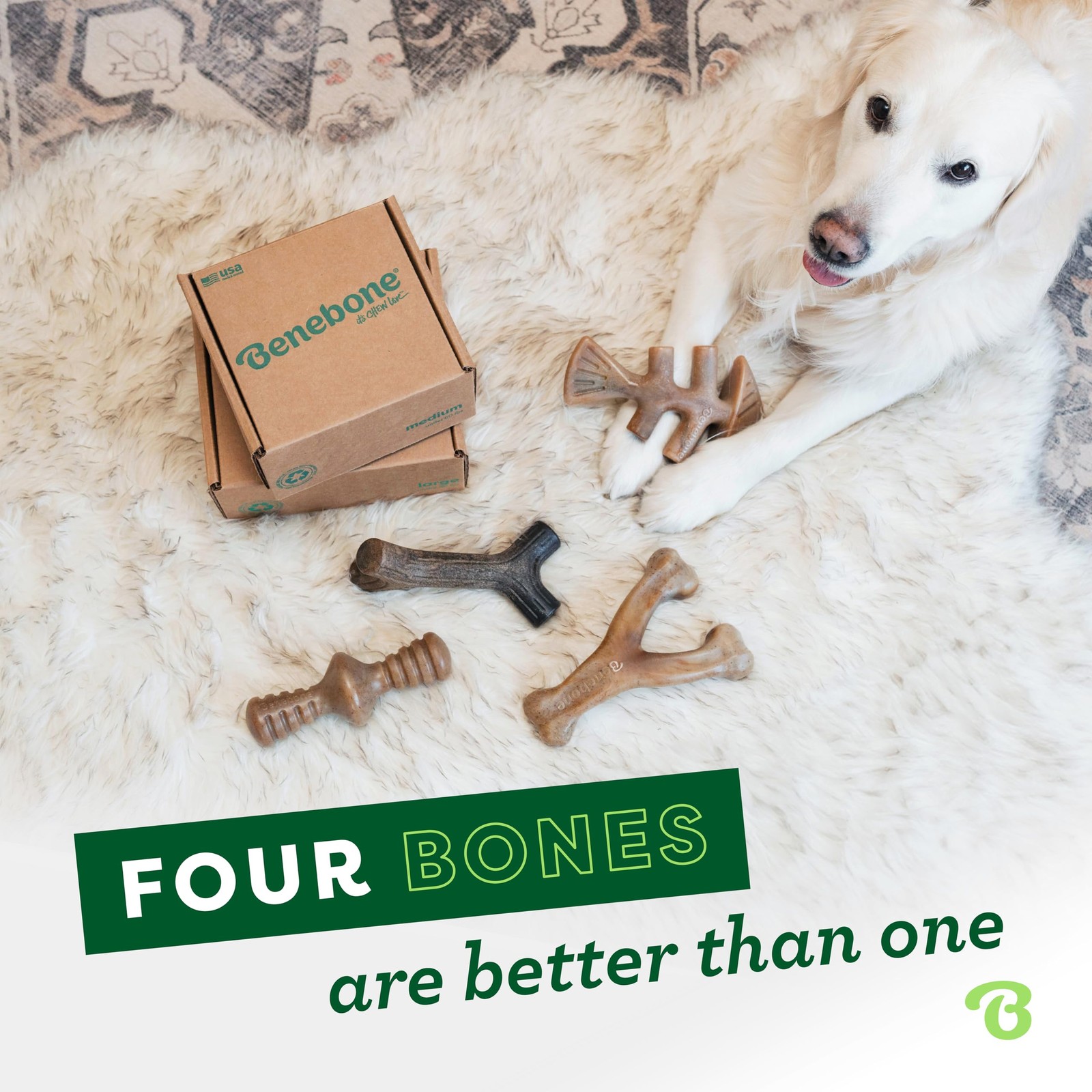 Benebone Small 4-Pack Dog Chew Toys – Aggressive Chewers, USA Made, Under 30lbs