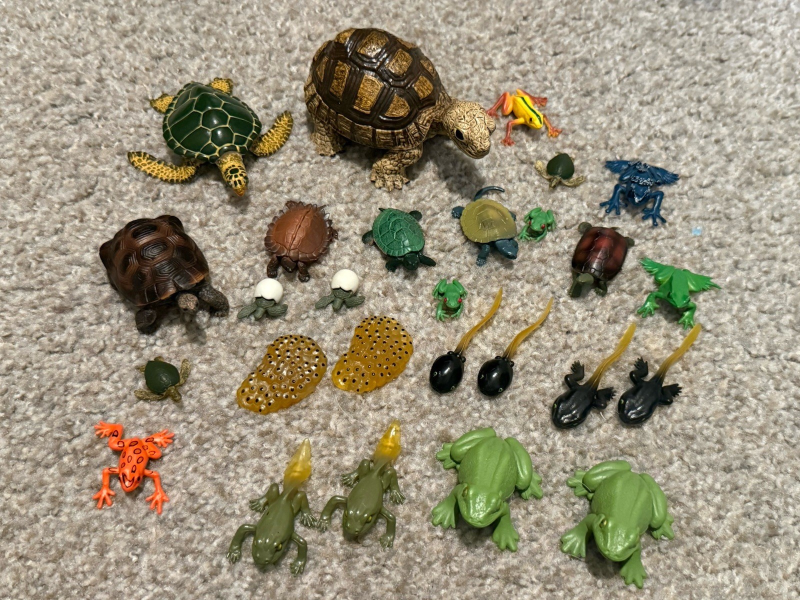 Frog And Turtle Lot Figures/Toys Lifecycle Of A Frog Set X2 +More