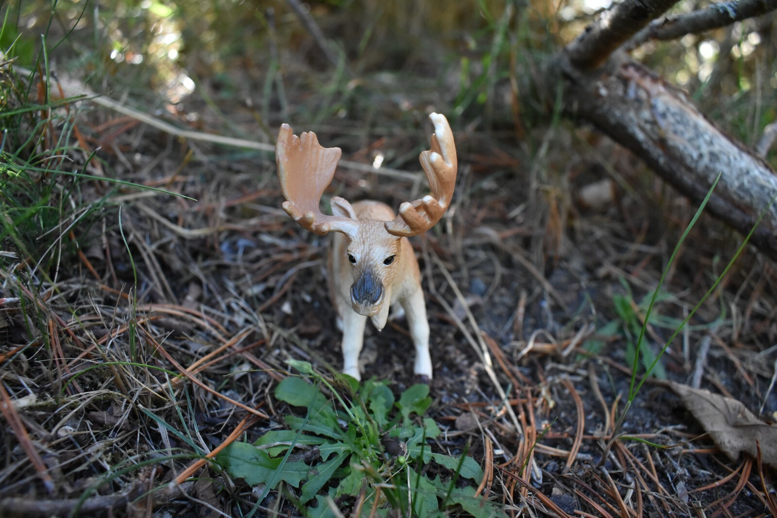Moose Toy Model Plastic Replica Forest Animal, Kids Educational Gift 4.5″ OK09