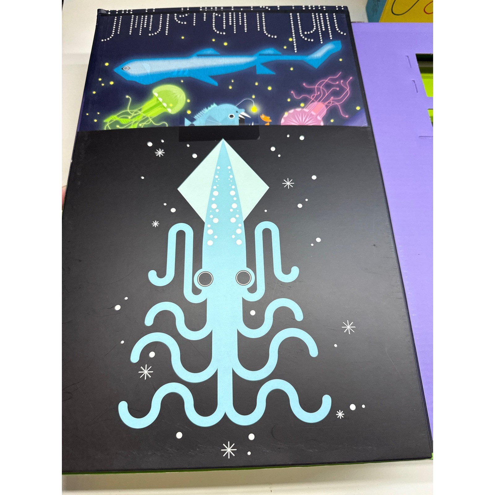Quarto Group STEM Science Activity Kit Luminous Science & Circuit Science Books