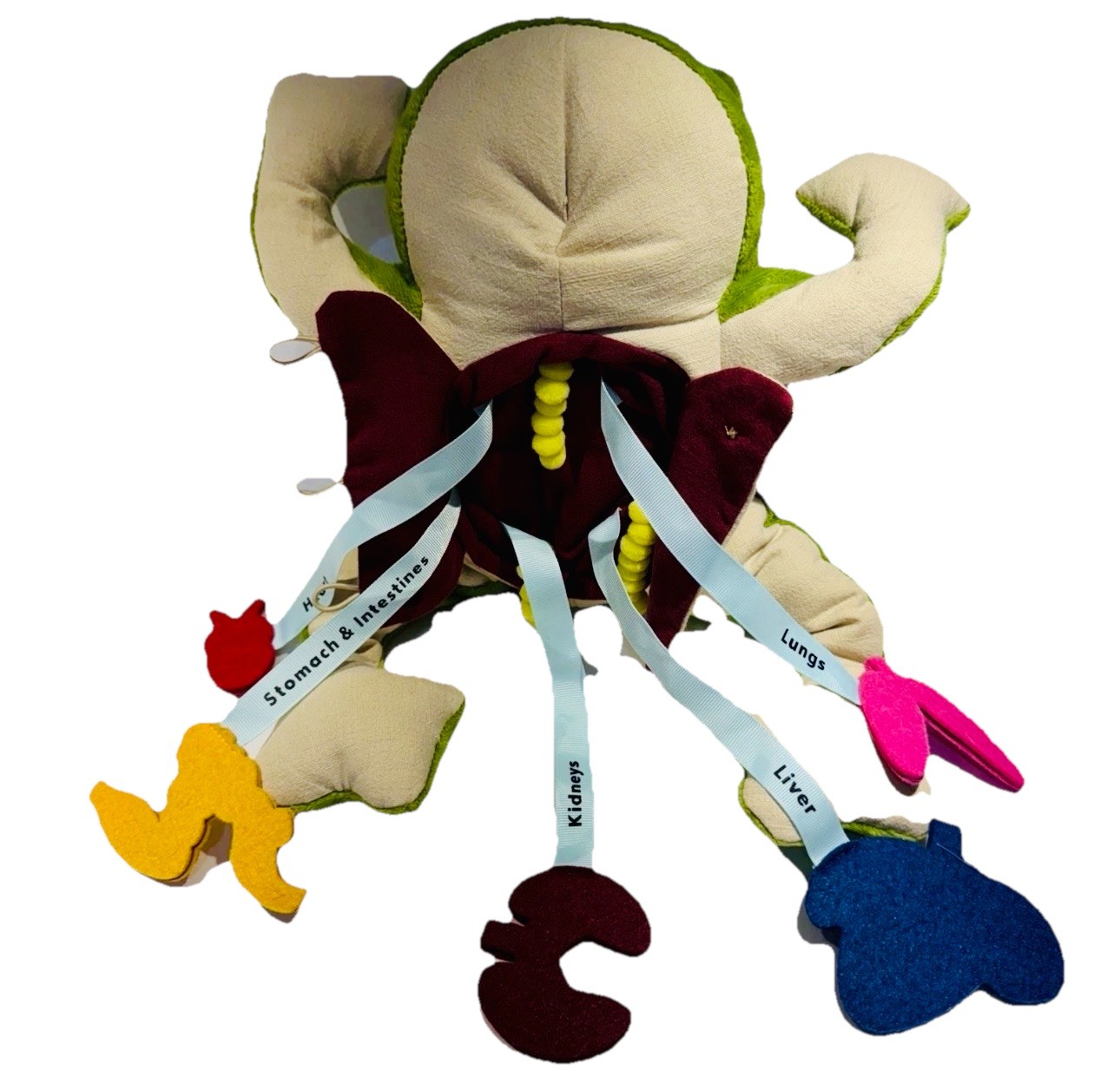 Kiwi Co Froggie Lab Dissection Plush Toy 17x11x4