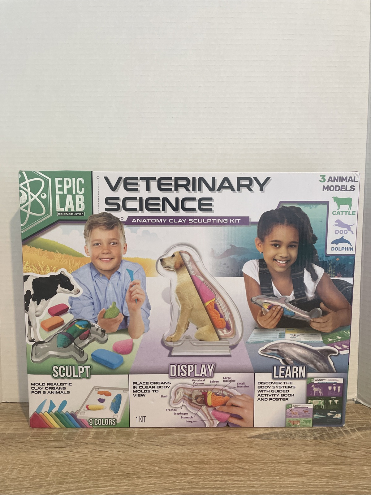 Epic Lab Veterinary Science Anatomy Clay Sculpting Kit PA-7541 Ages 8+ 2021 NOS