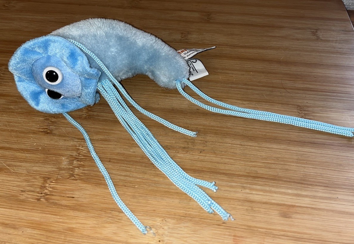 GIARDIA ( Giardia Lambia) Giant Microbes Plush Educational Doll Stuffed Prop