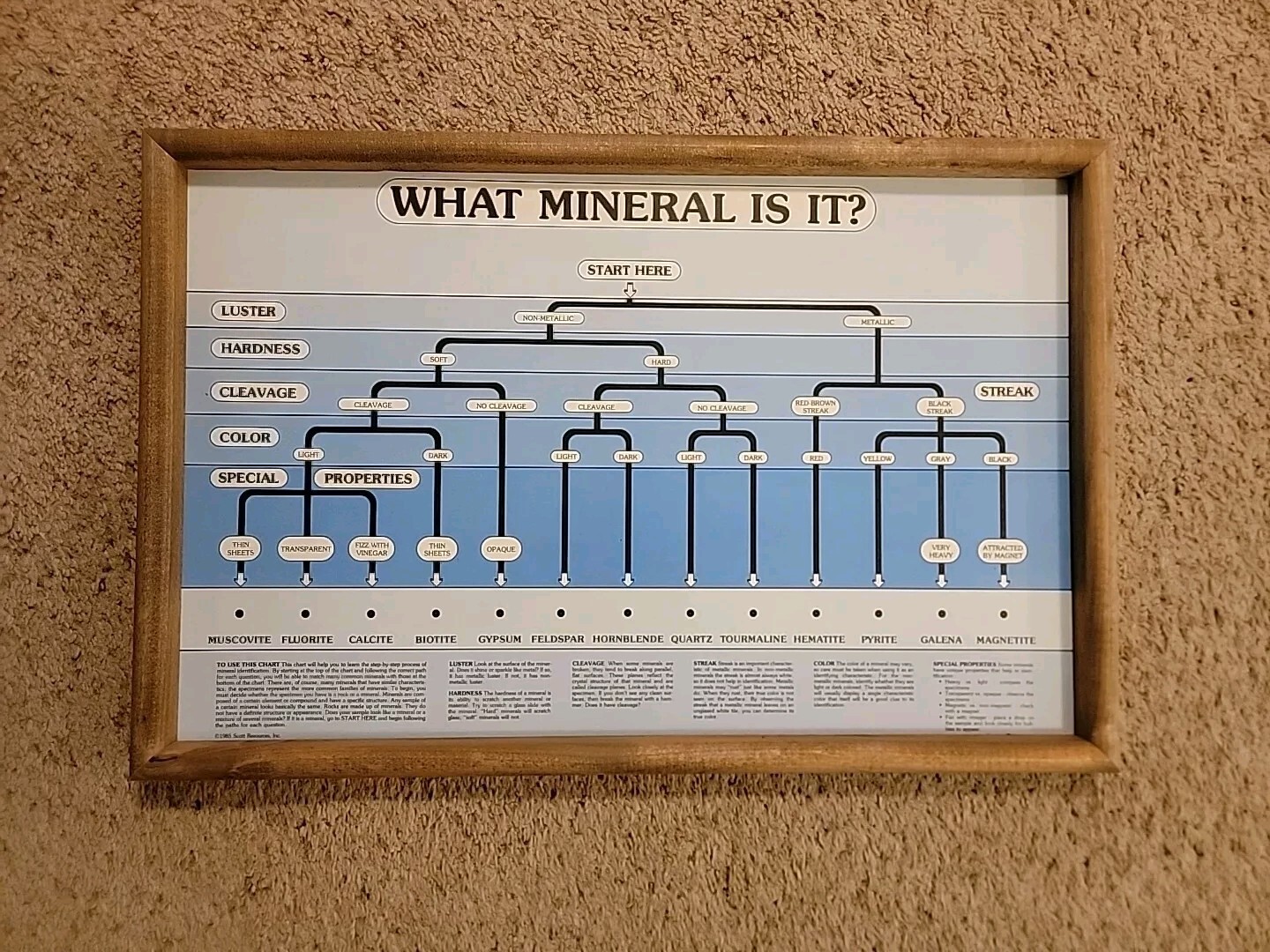 Mineral ID Flow Chart On Cardboard Framed 15 X 23