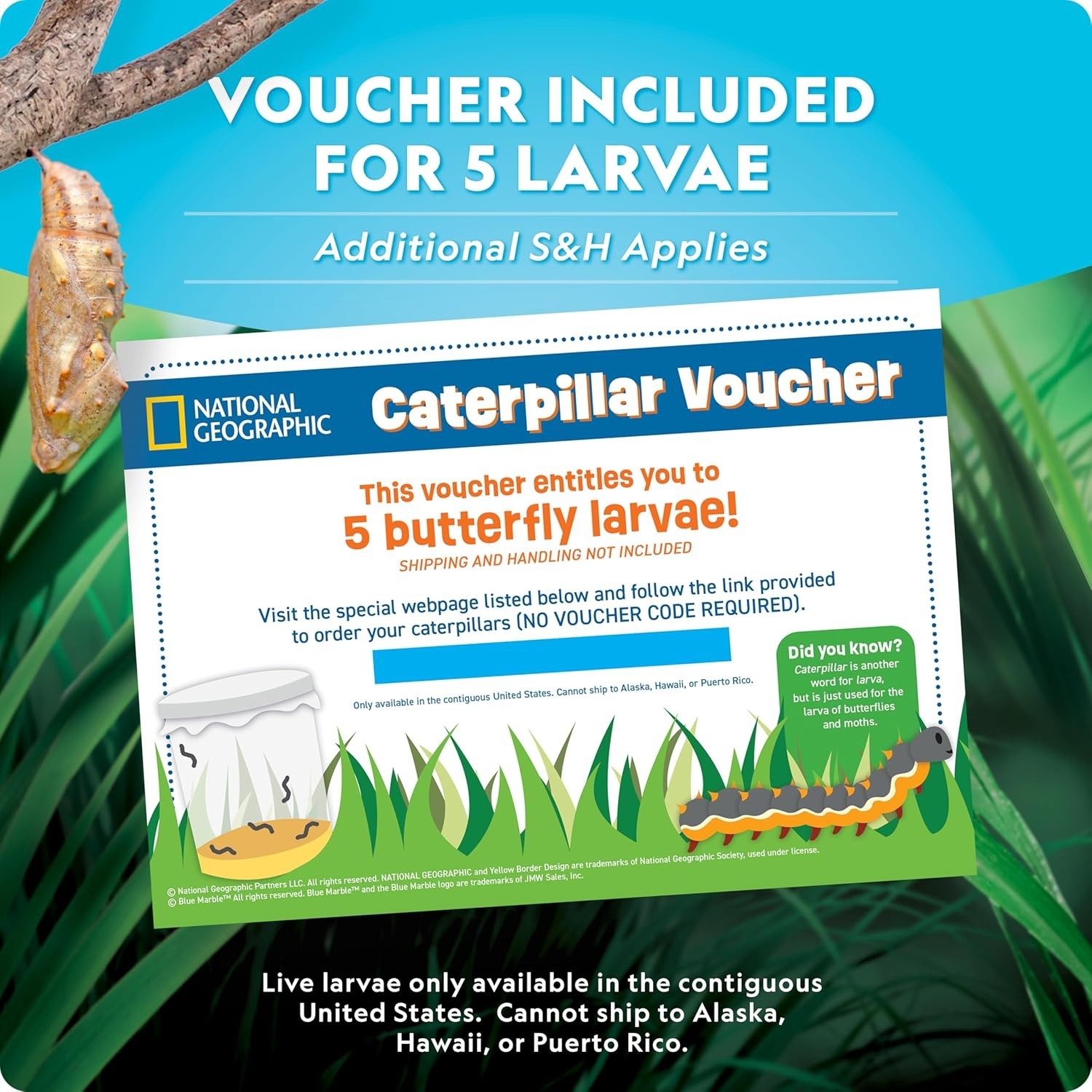 Create a Real Butterfly Habitat – National Geographic Kit with 5 Caterpillars