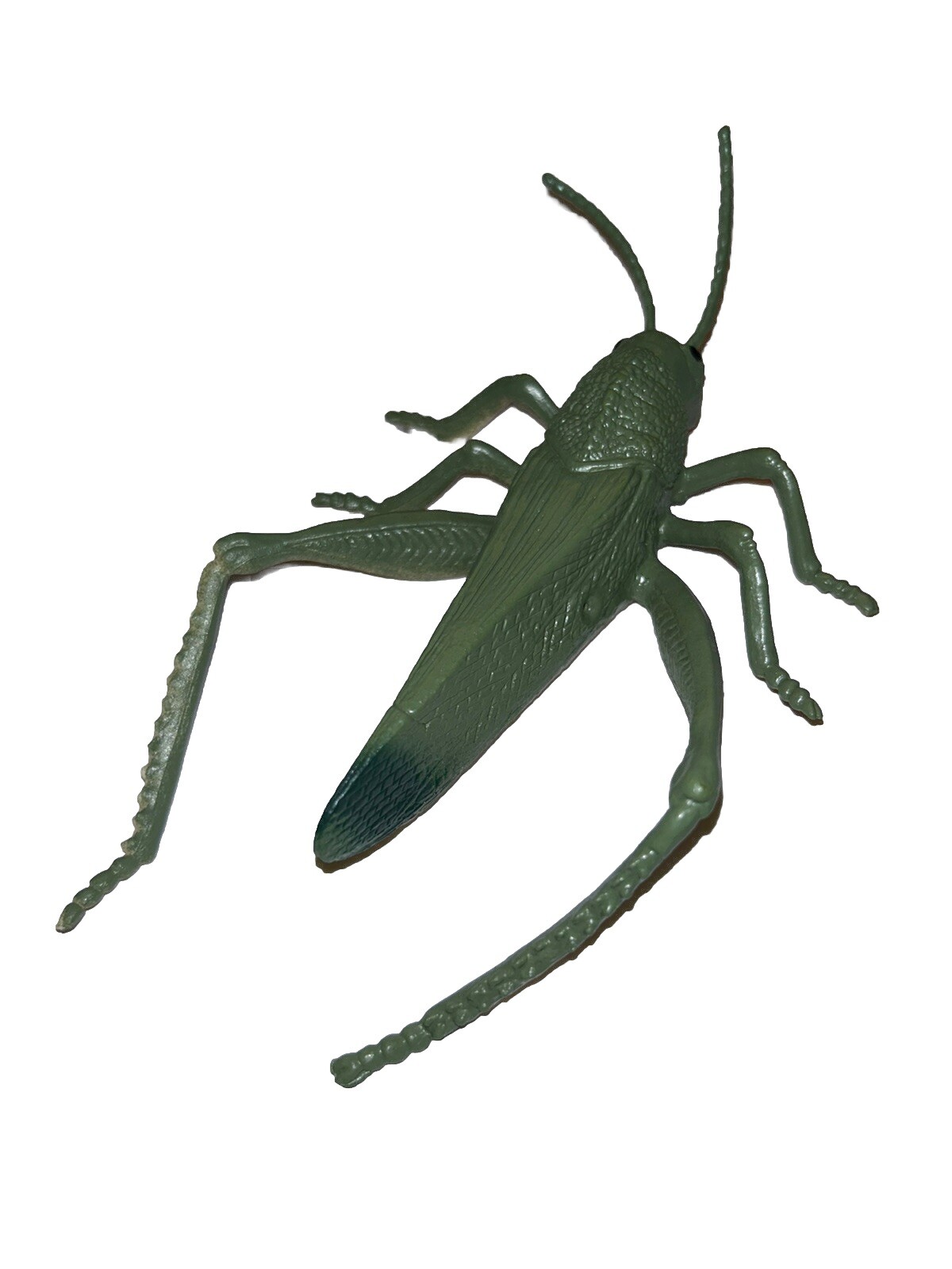 DOLGEN Realistic Rubber Grasshopper Insect Bug 7 1/2″ Toy Figure