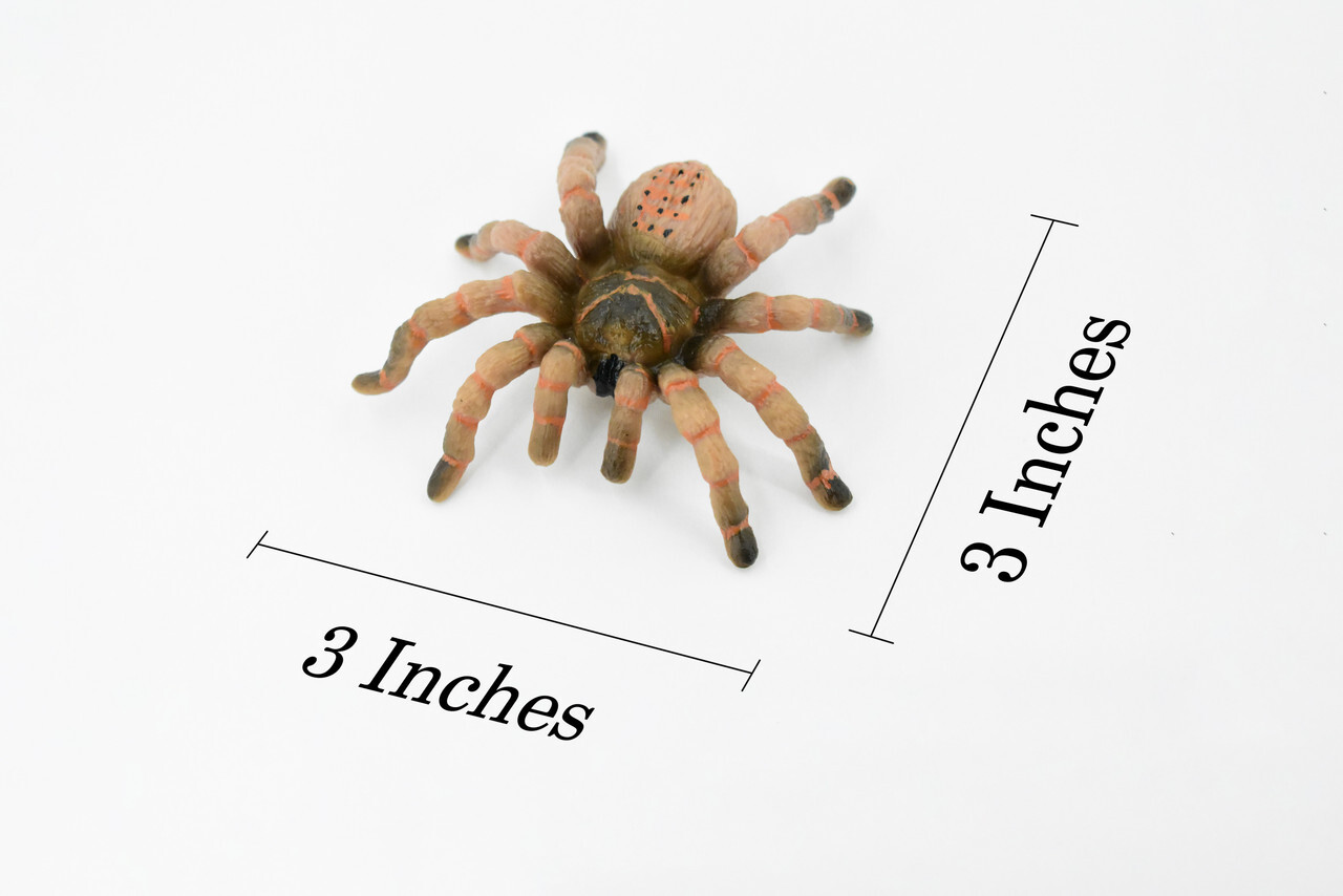 Wolf Spider, Hand Painted, Realistic Toy Figure, Model 3″ CH422 BB108