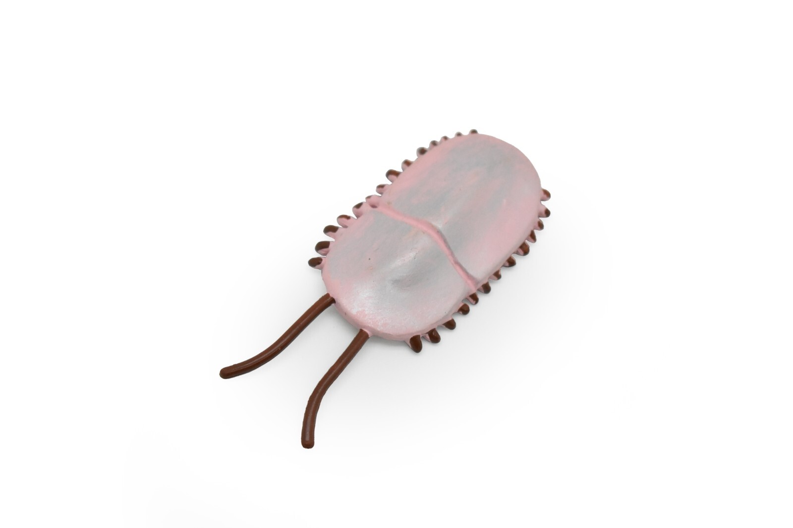 Naraoia, marine arthropods, Cambrian Sea Animal, Realistic Toy Model F3473 B352