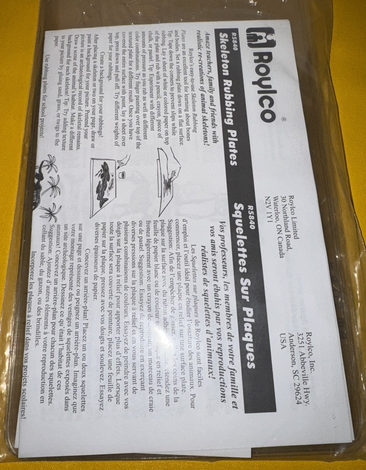 5840 Roylco Skeleton Rubbing Plates Pack Of 6 Human Fish Snake Seagull B10