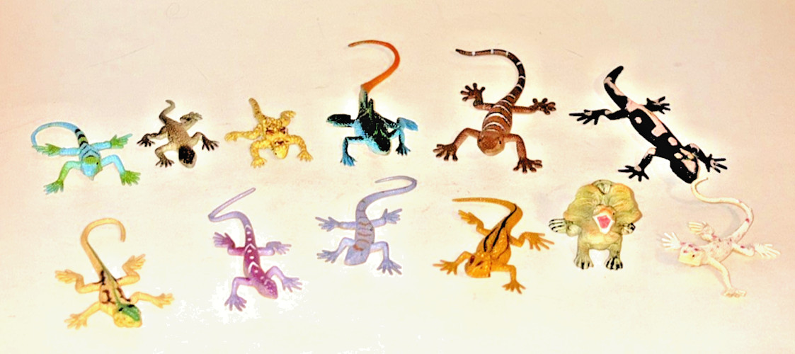 Lizard Salamander Plastic Rubber Figures PVC Nature Science Toy Lot of 12 China