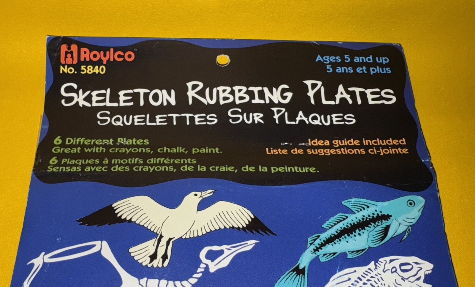 5840 Roylco Skeleton Rubbing Plates Pack Of 6 Human Fish Snake Seagull B10