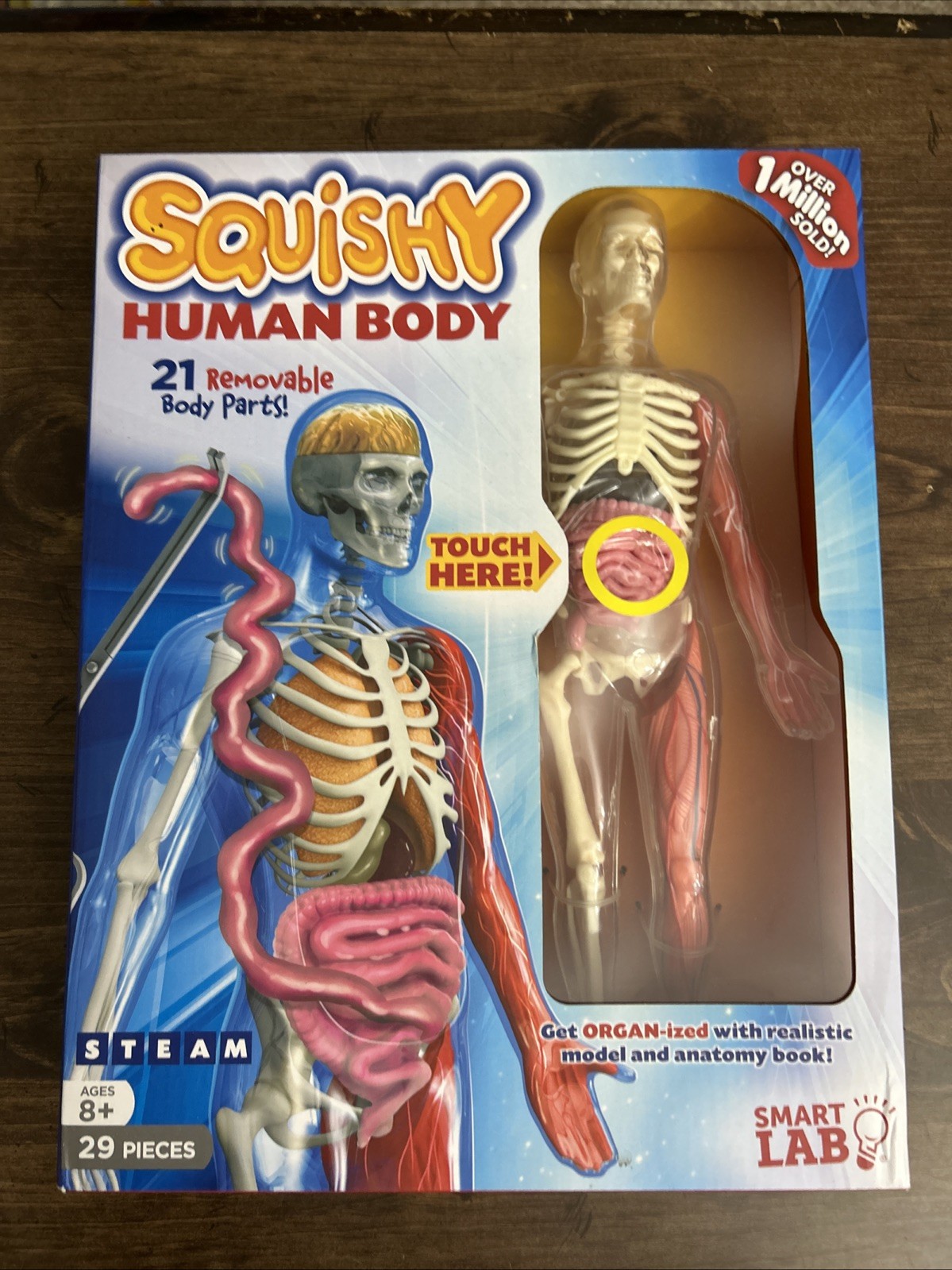 SmartLab Squishy Human Body – SL06428