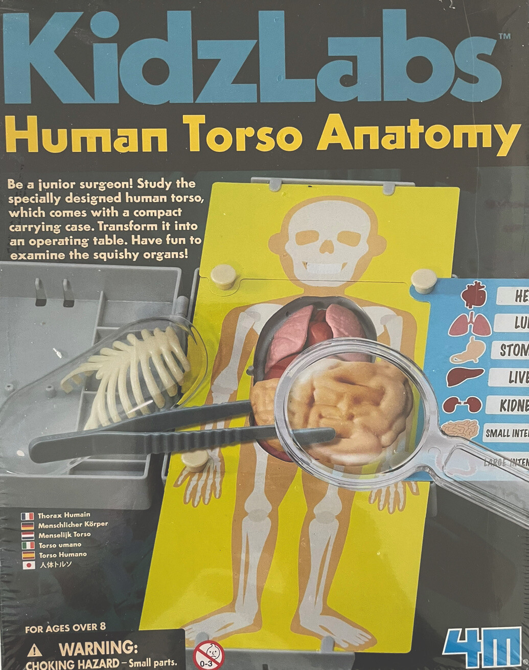 Kidz labs Human Torso Anatomy Activity Kit