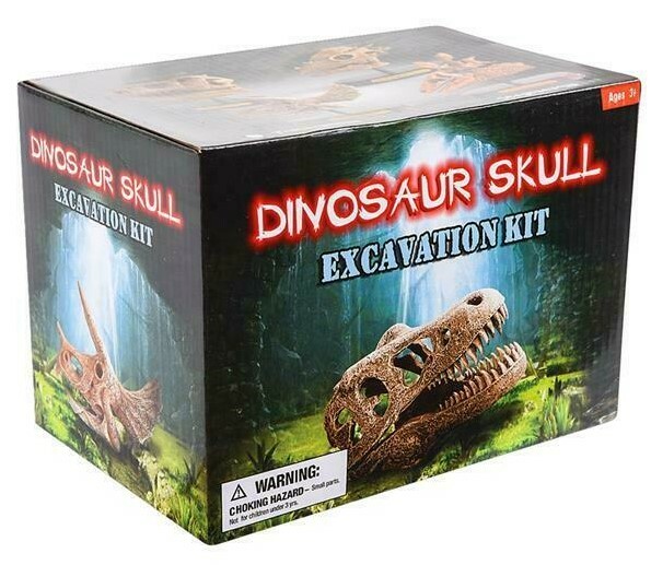 6.5″ Triceratops Skull Excavation Dinosaur Three Horn Dino Dig