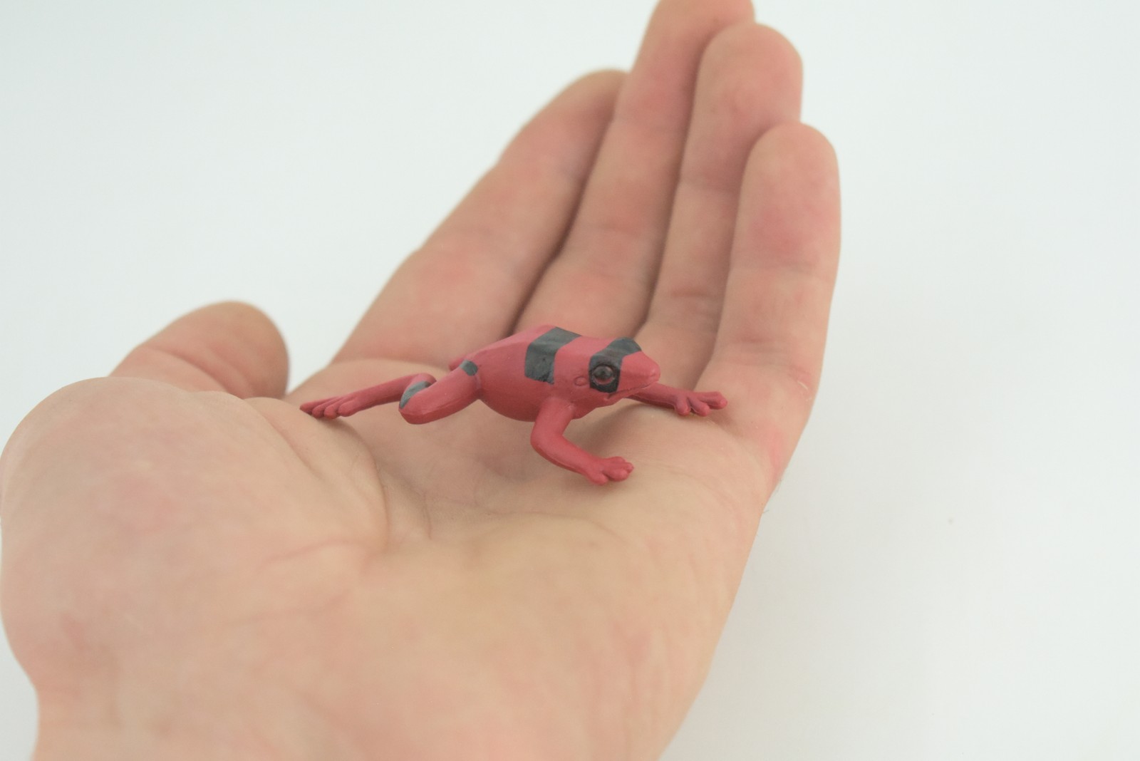 Red and Black Striped Frog Toy, Hand Painted, Rubber Model, 2 Inches CWG312 B48