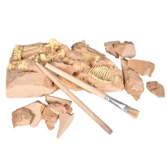 Tyrannosaurus T-REX Excavation kit fossil dig DINOSAUR bones display 7in DIGFT