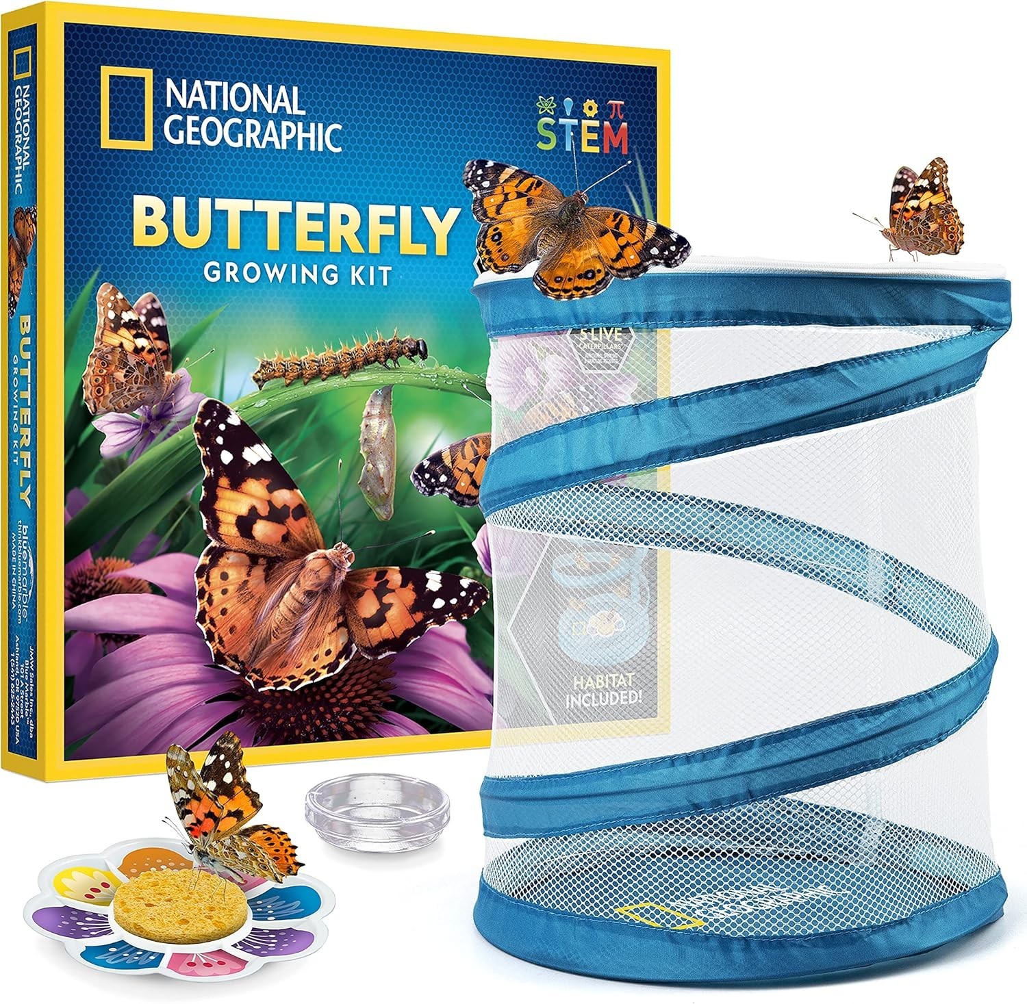 Create a Real Butterfly Habitat – National Geographic Kit with 5 Caterpillars