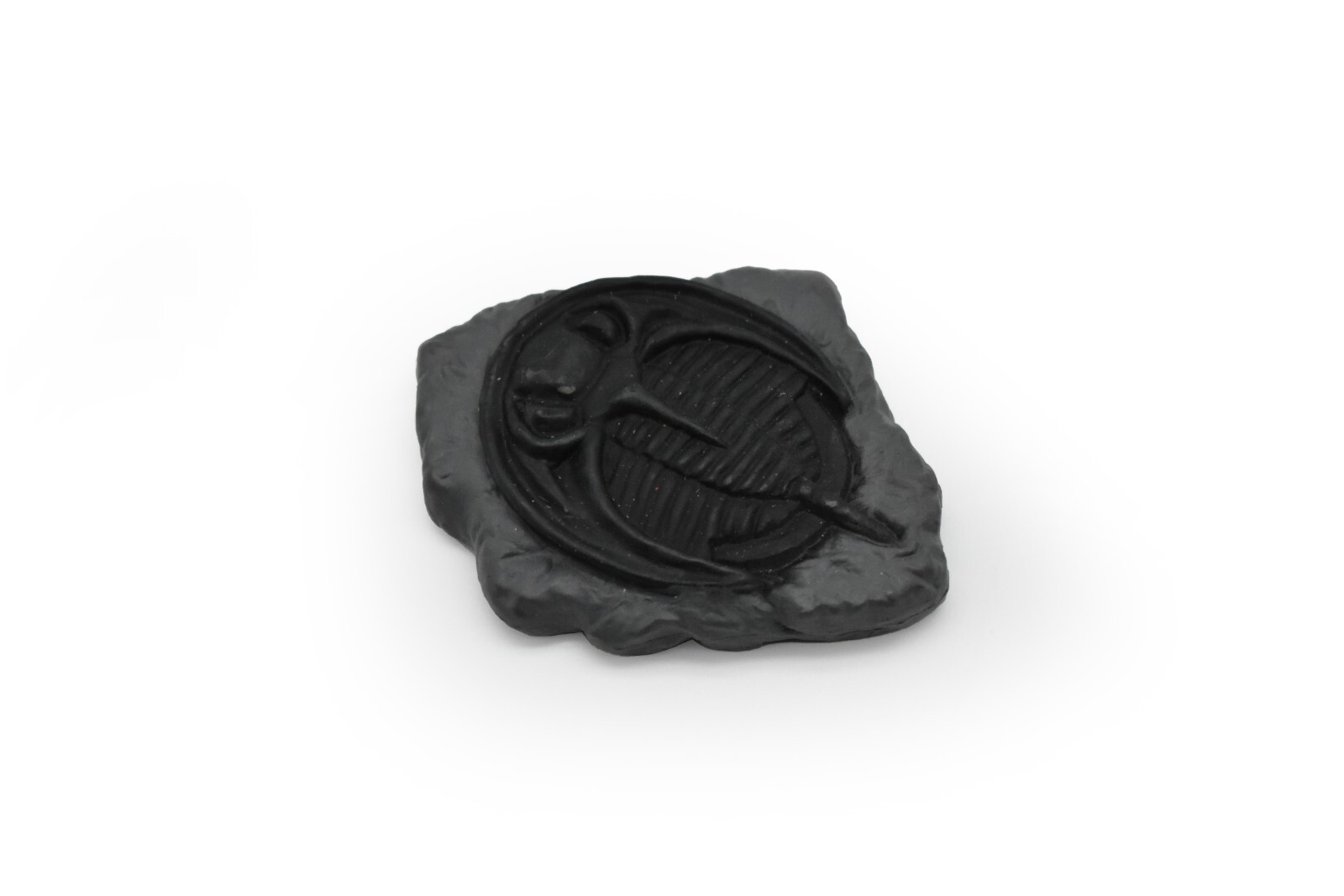 Trilobite Fossil Raymondites (2 Colors) Plastic Replica 2″ long – F4107 B96