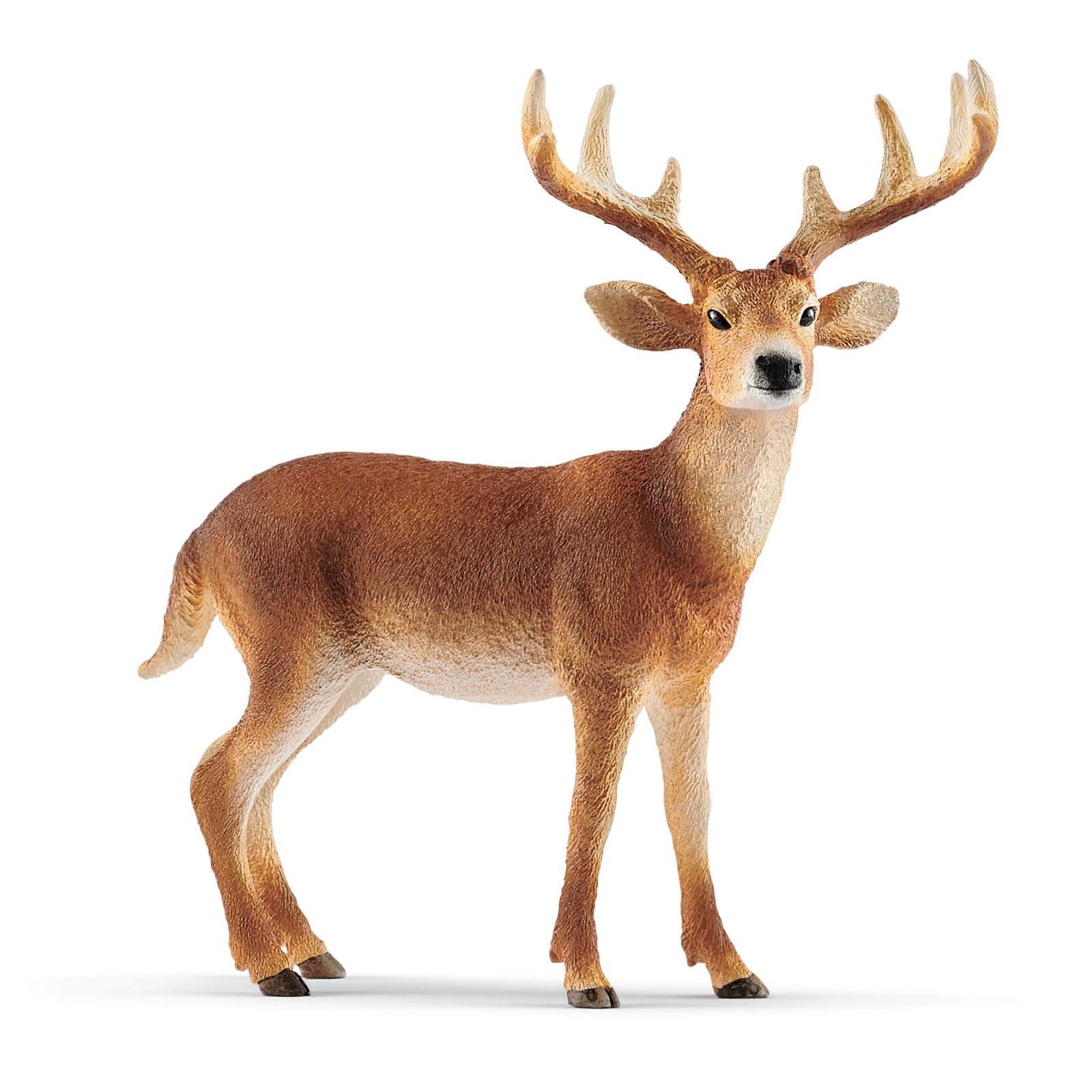 Schleich White Tailed Buck Realistic Wildlife Figurine for Imaginative Play