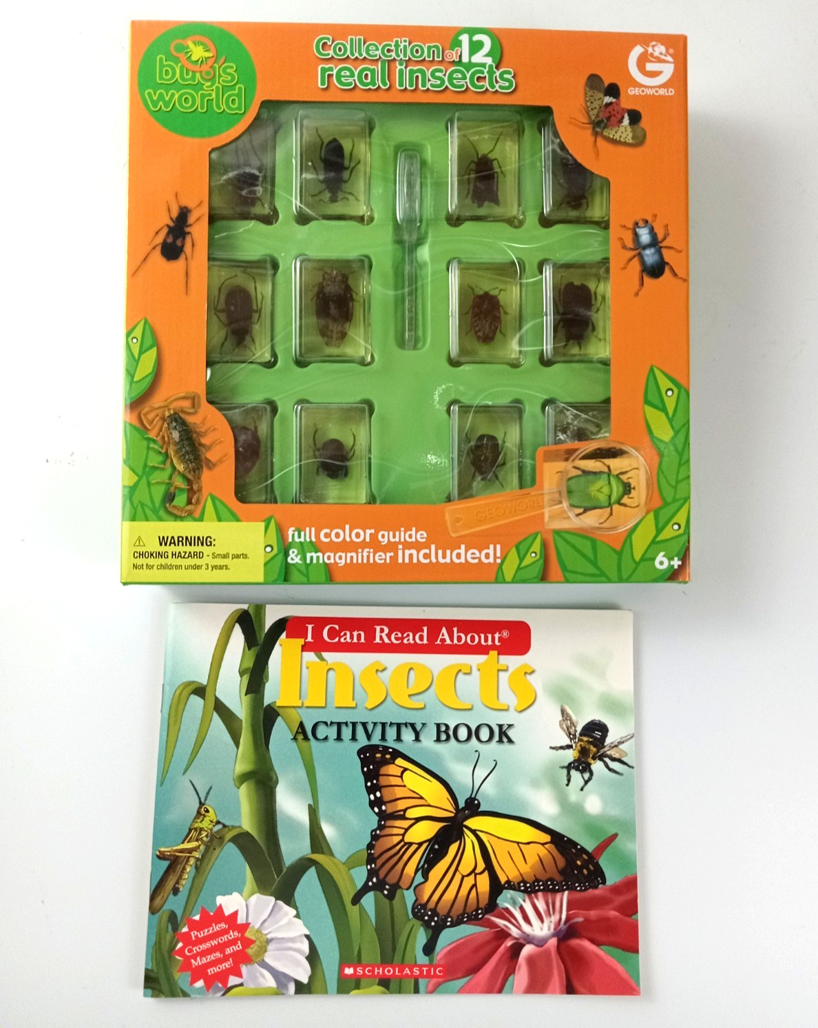 Constructive Playthings Geoworld Bugs World Collection of 10 Real Insects