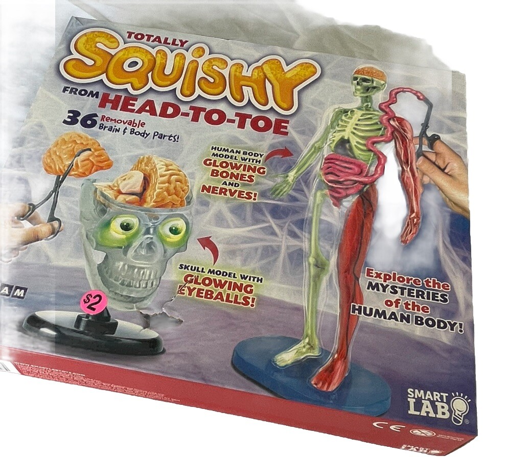 SmartLab Toys 6428 Squishy Human Body 17 Removable Parts Incomplete