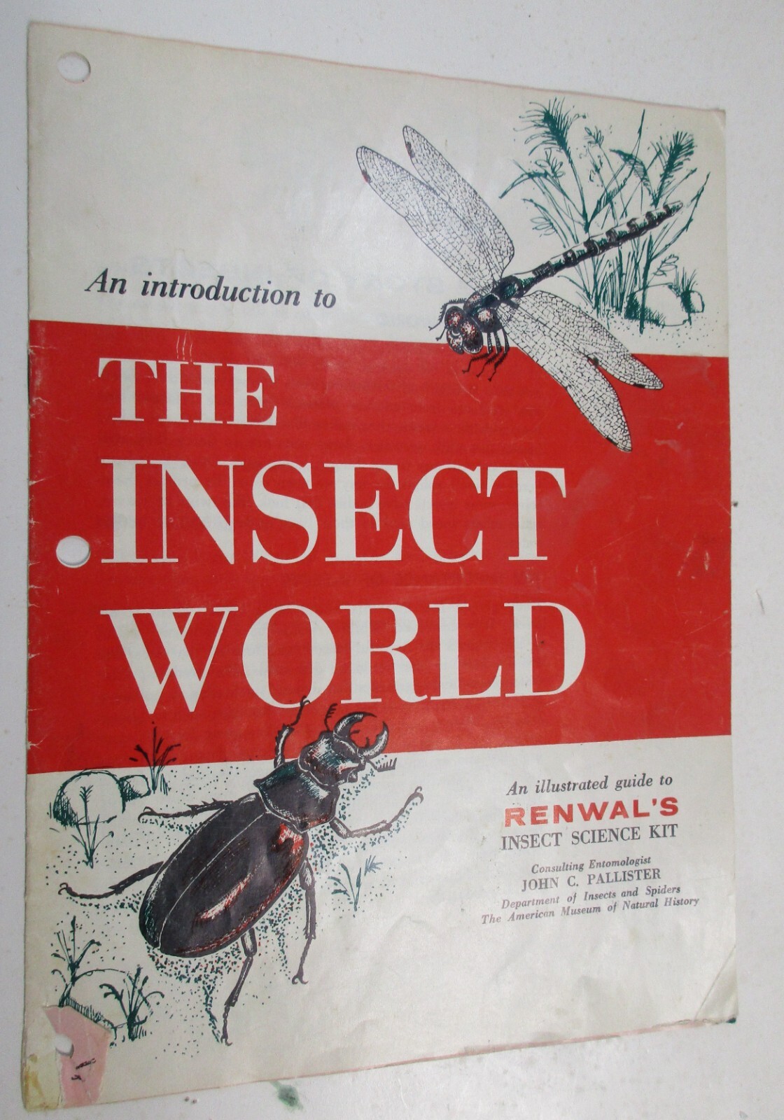 Intro to the Insect World Guidebook Booklet from Renwal’s Insect Science Kit