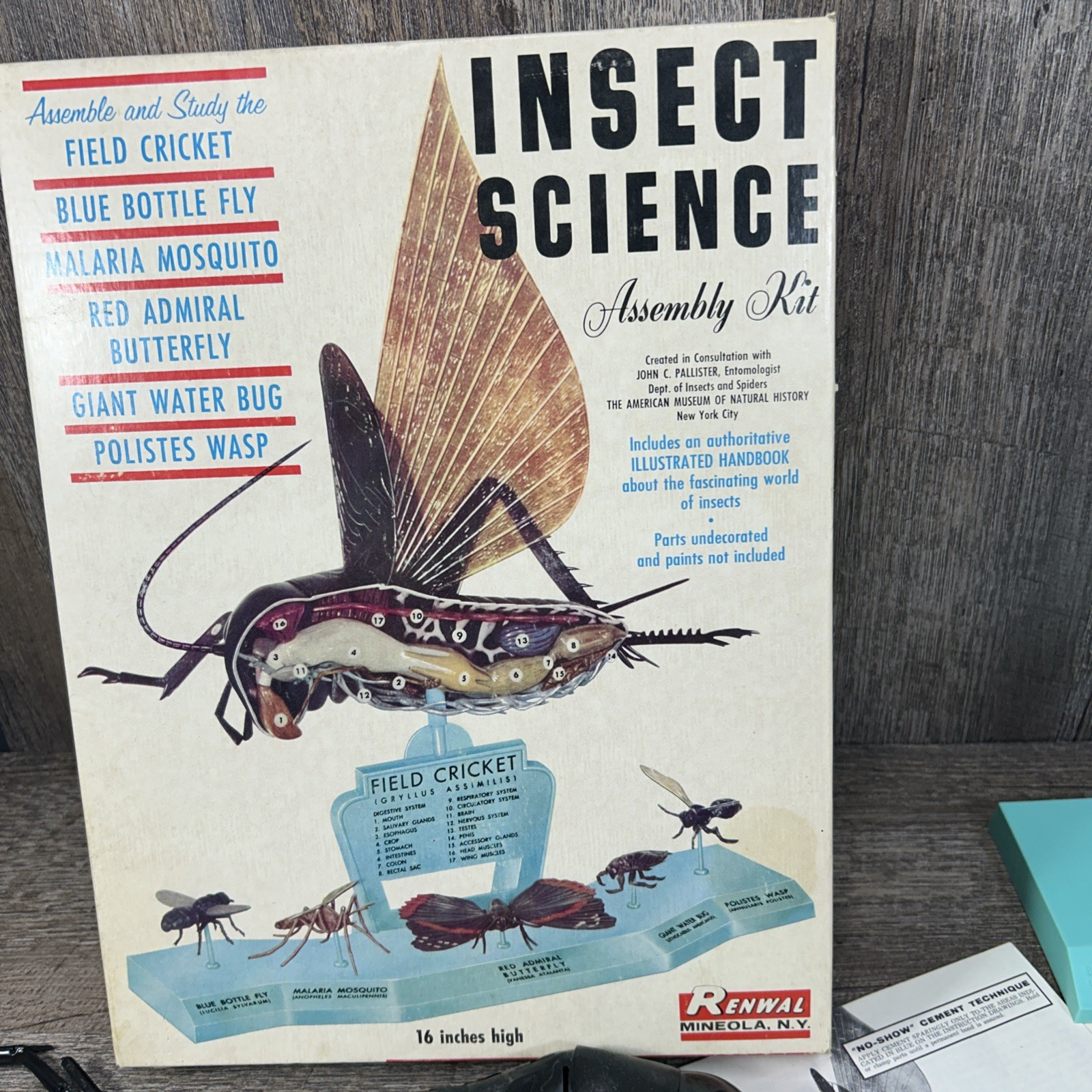 VTG Model Toy Renwal Insect Science Assembly Kit Field Cricket Fly Butterfly