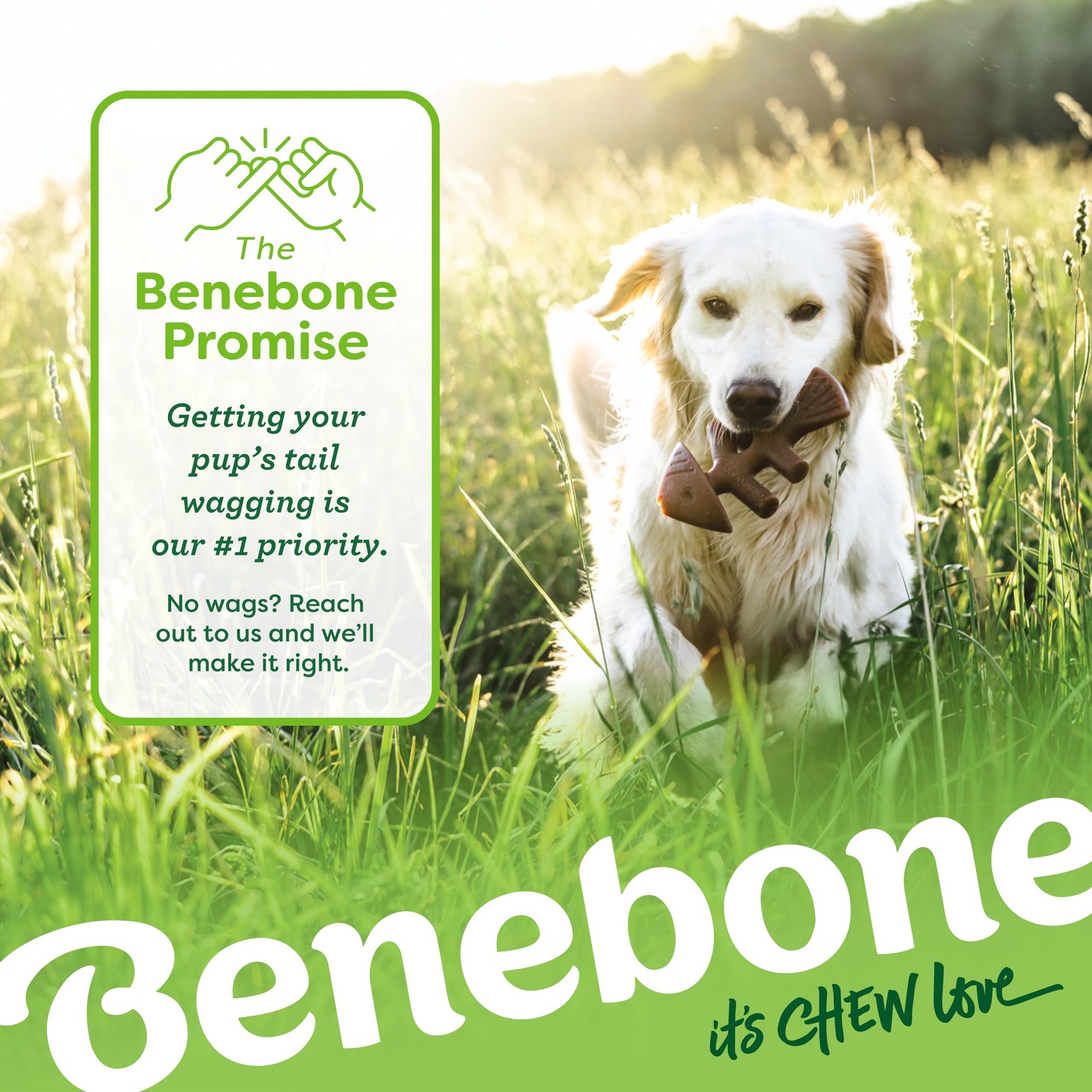 Benebone Small 4-Pack Dog Chew Toys – Aggressive Chewers, USA Made, Under 30lbs