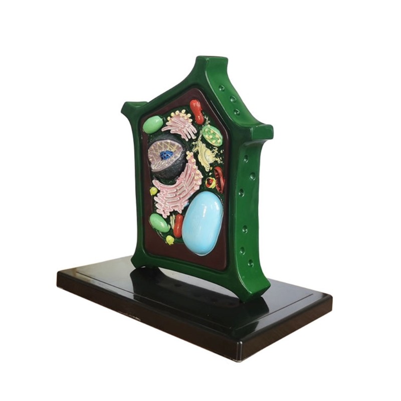 Plant Anatomy Model Plant Model Toy Teaching Aid Plant Cell Model Lab Supplies