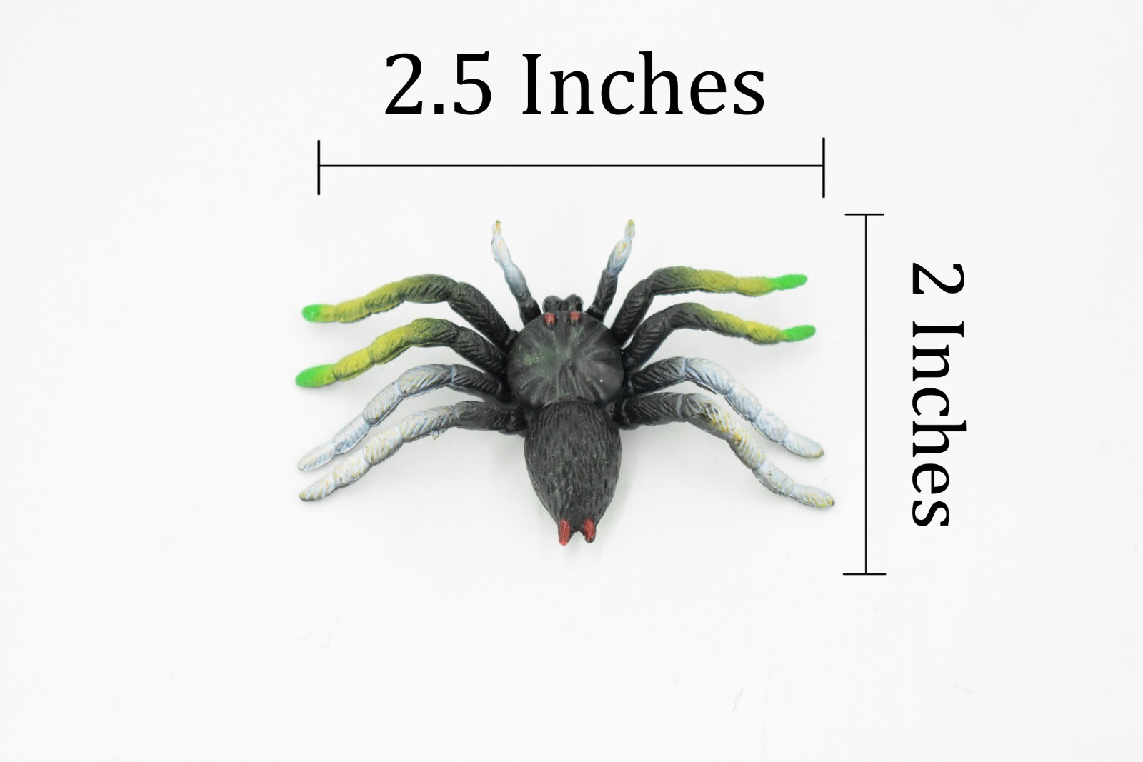 Spider, Garden Spider, Rubber Insect Realistic Figure Model Replica Kids 2.5″