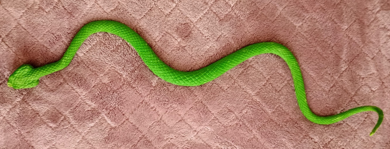 JA-RU Realistic Green Rubber Snake Toy 15″ Reptile Prank Prop Educational