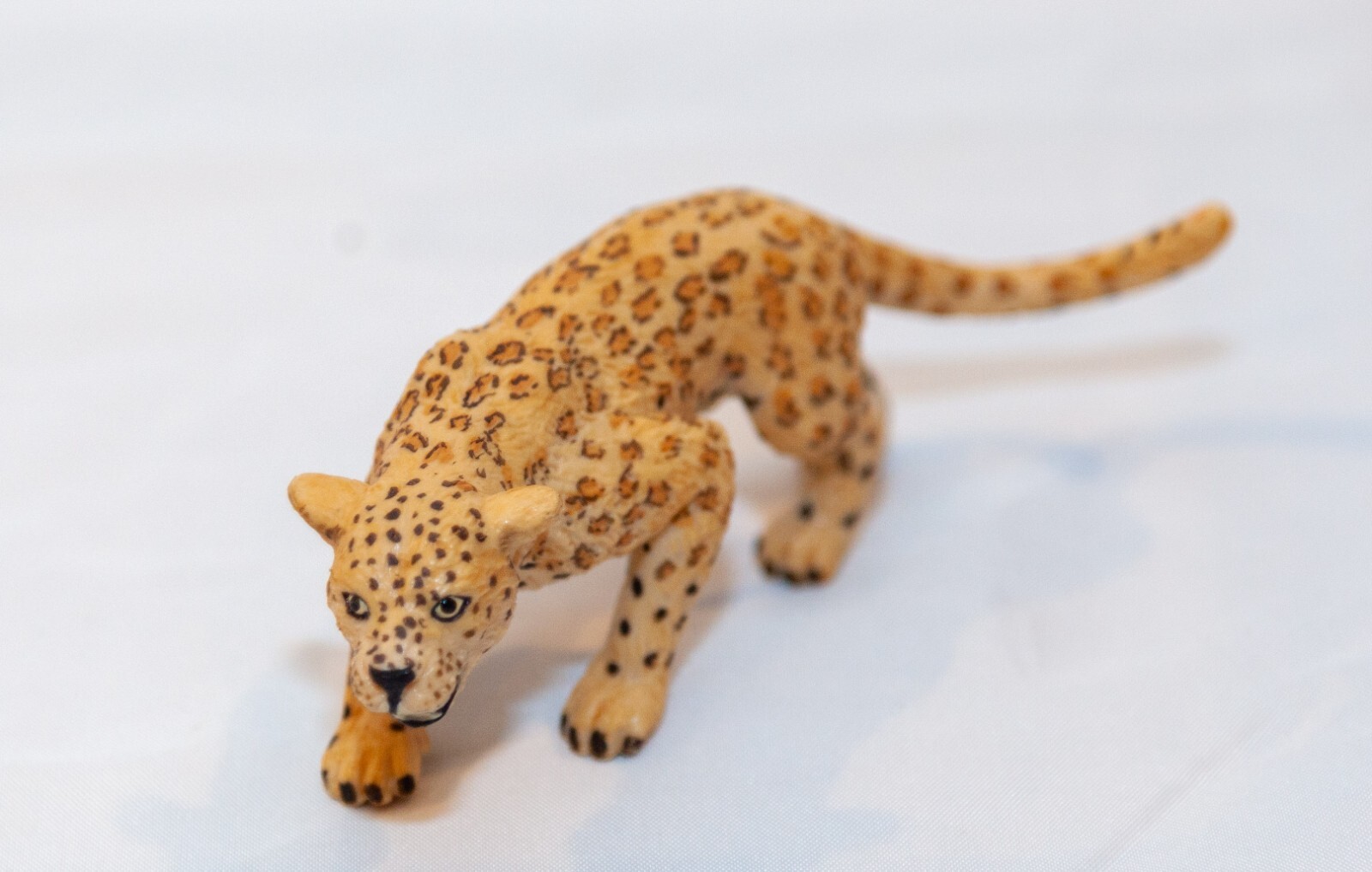 Leopards Wild Cats Wildlife Figures Safari Ltd Toys Educational Collector Lot