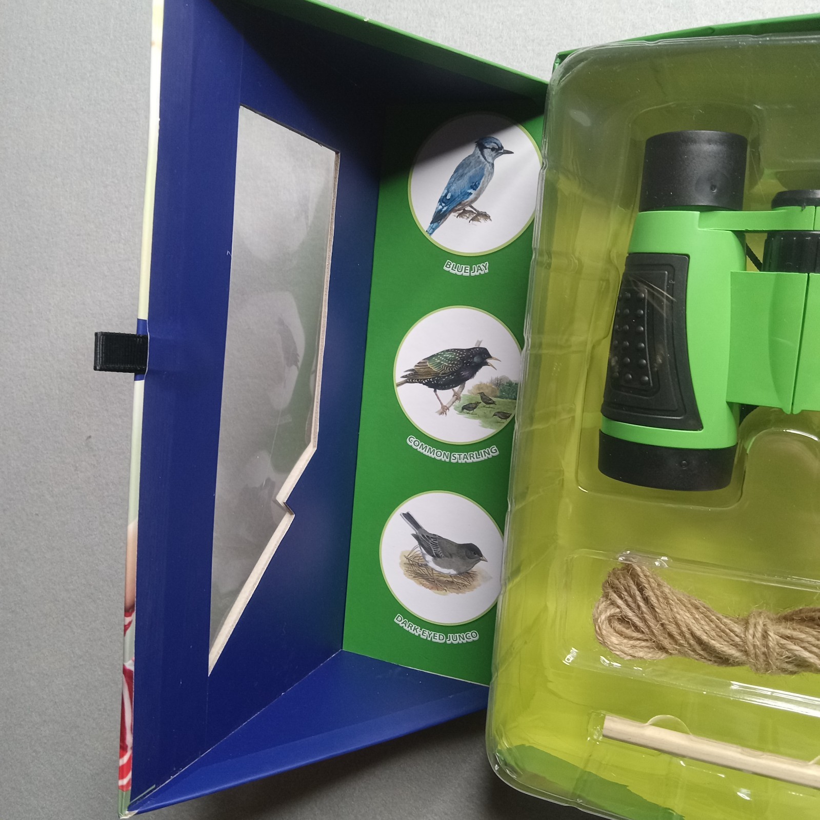 SpiceBox Science Lab Bird Watching Kit: Explore, Learn, and Observe Birds