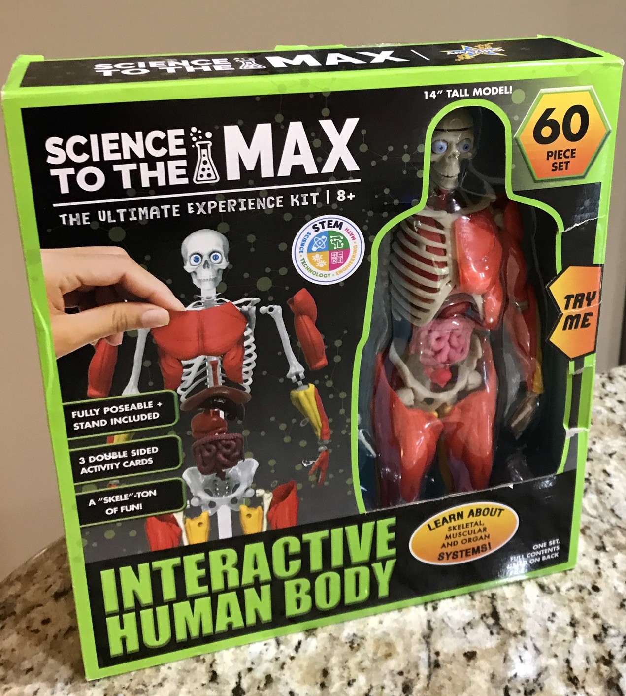 (STEM) Interactive Human Body – 60 Piece Poseable Anatomy Figure 14” Tall