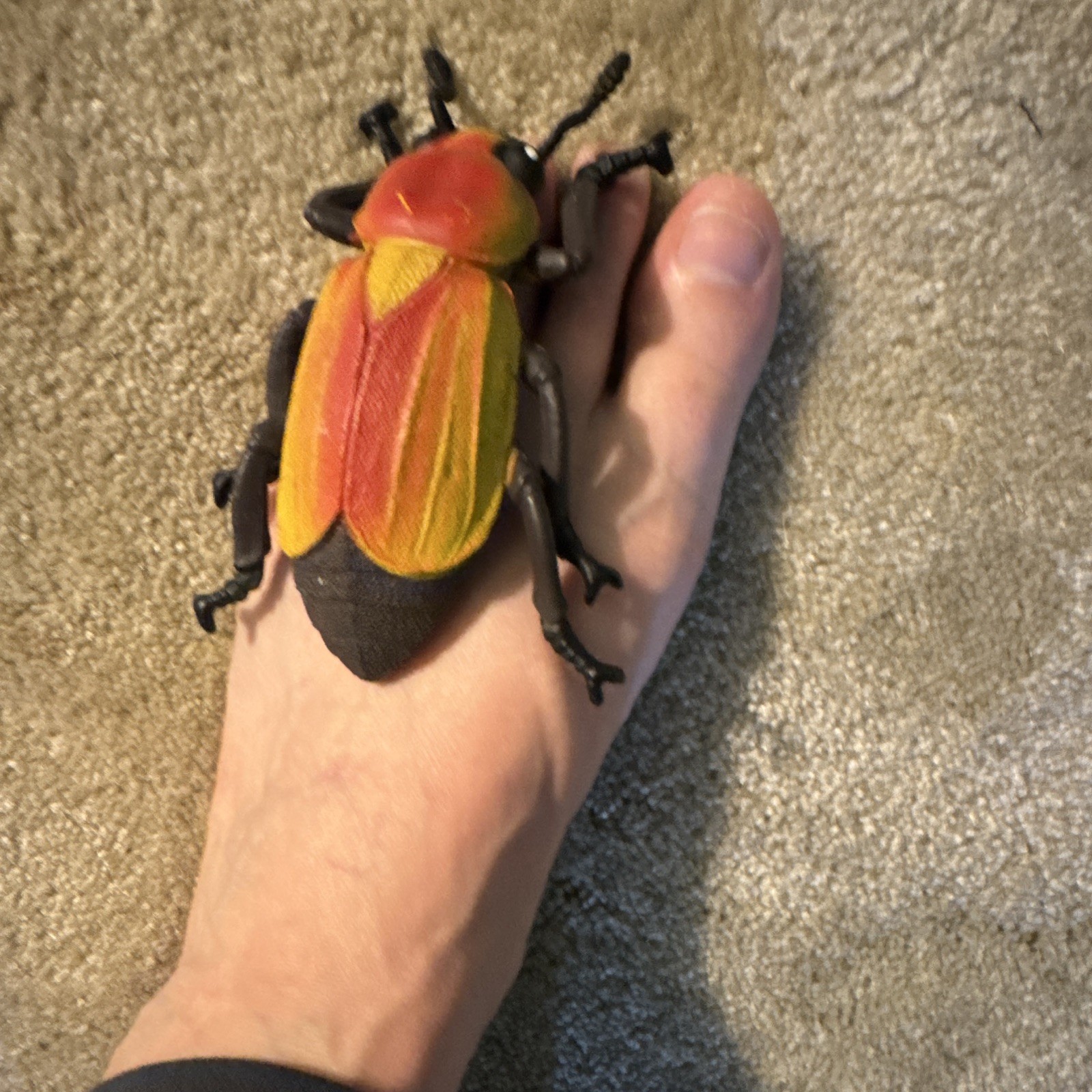 Large Plastic Beetle Insect Figure Model Toy – Red Yellow Black