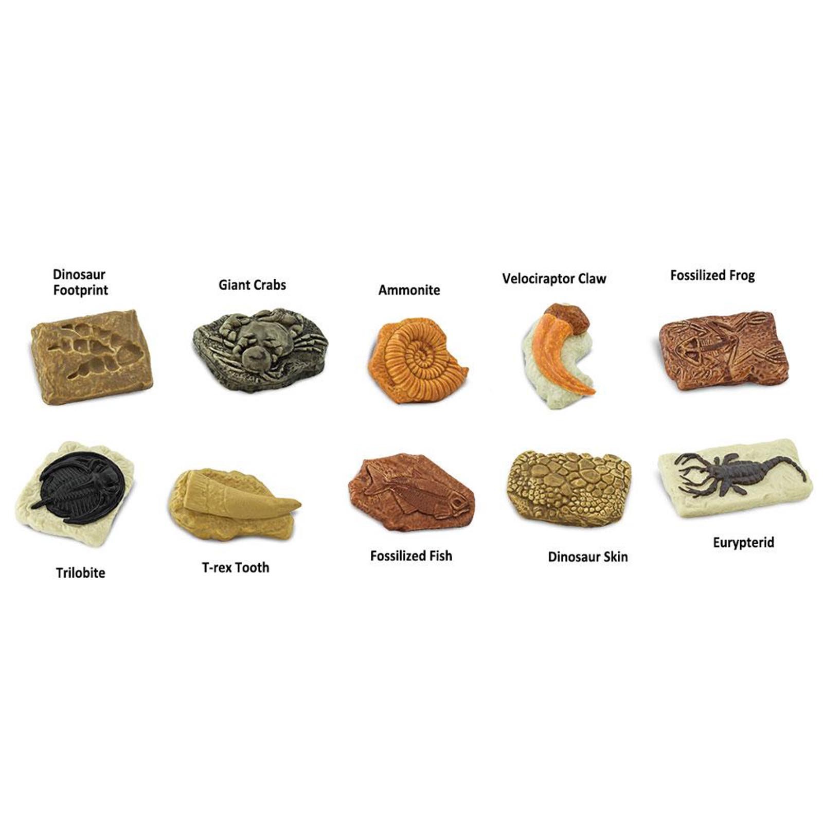 Ancient Fossils Toob Mini Figures Safari Ltd NEW Toys Educational Figurines Kids