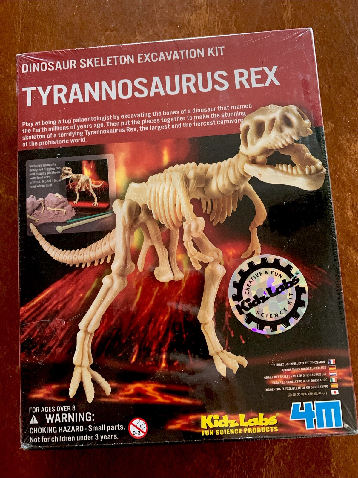 4M Kidz Labs Tyrannosaurus Rex T-Rex Dinosaur Skeleton Excavation Kit NEW SEALED