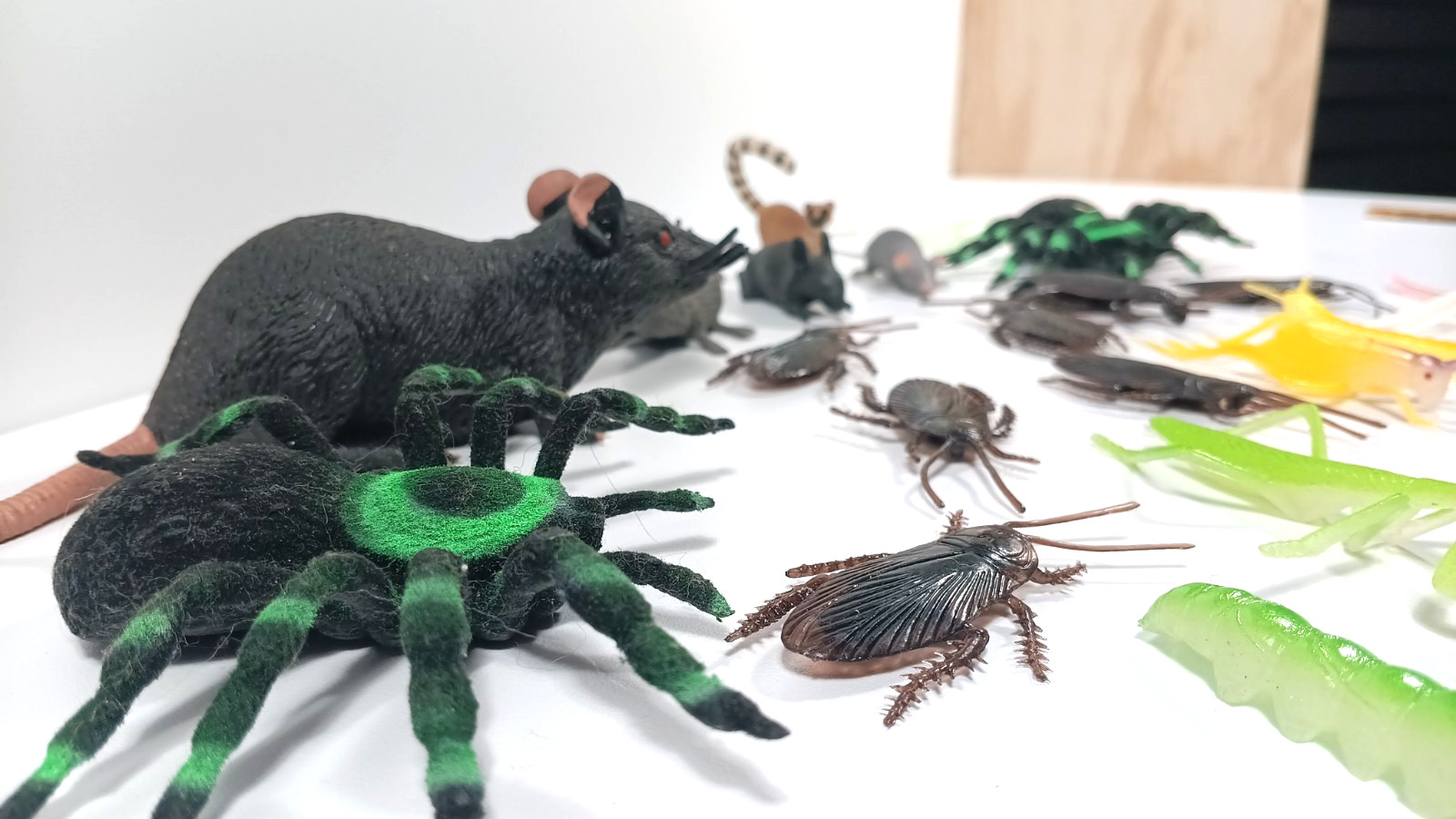 Lot of Rubber Plastic Creepy Bugs Insects Ants Flies Spider Roach Rats Toys