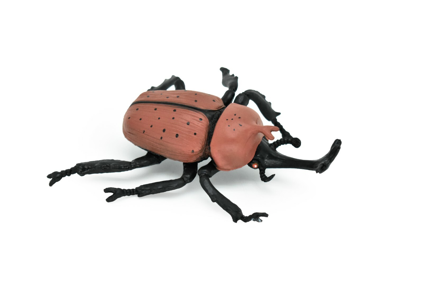 Beetle, Rhinoceros , Brown, Very Nice Rubber Replica 4 1/2″ – F2061 B133