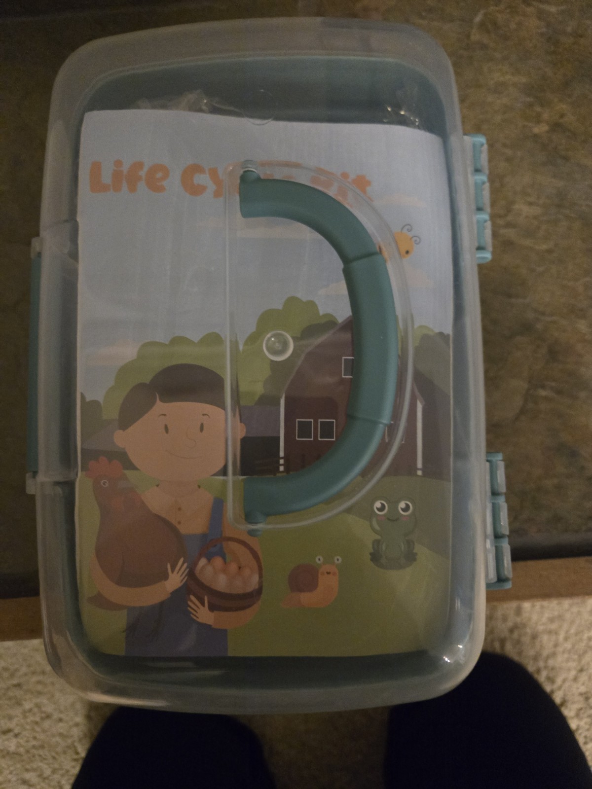 Life Cycle Learning Toys for : Life Science Education Kits with Butterfly, Fr…