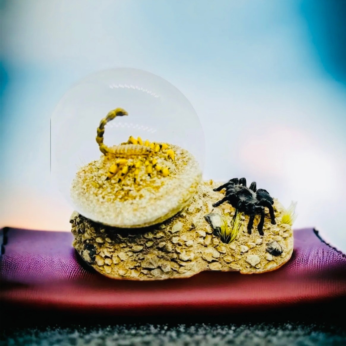 Real Scorpion Tarantula Glass Dome Desert Scene Paperweight Display