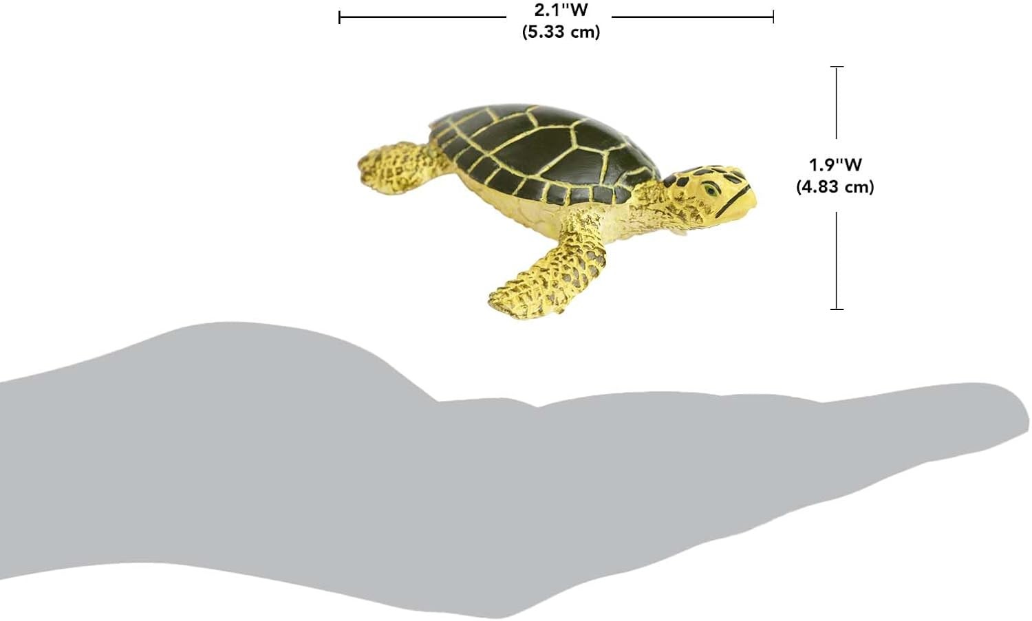 Safari Ltd. Green Sea Turtle Baby Figurine – Realistic 2.38″ Model Figure