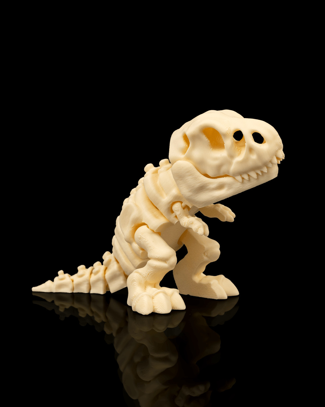 Skeleton T-Rex 3d printed flexi articulated fidget figure