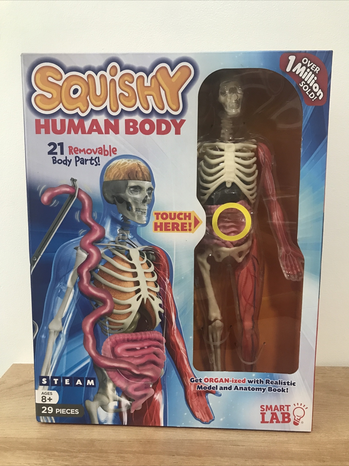 SmartLab Squishy Human Body Model Anatomy Book STEAM – SL06428 8+